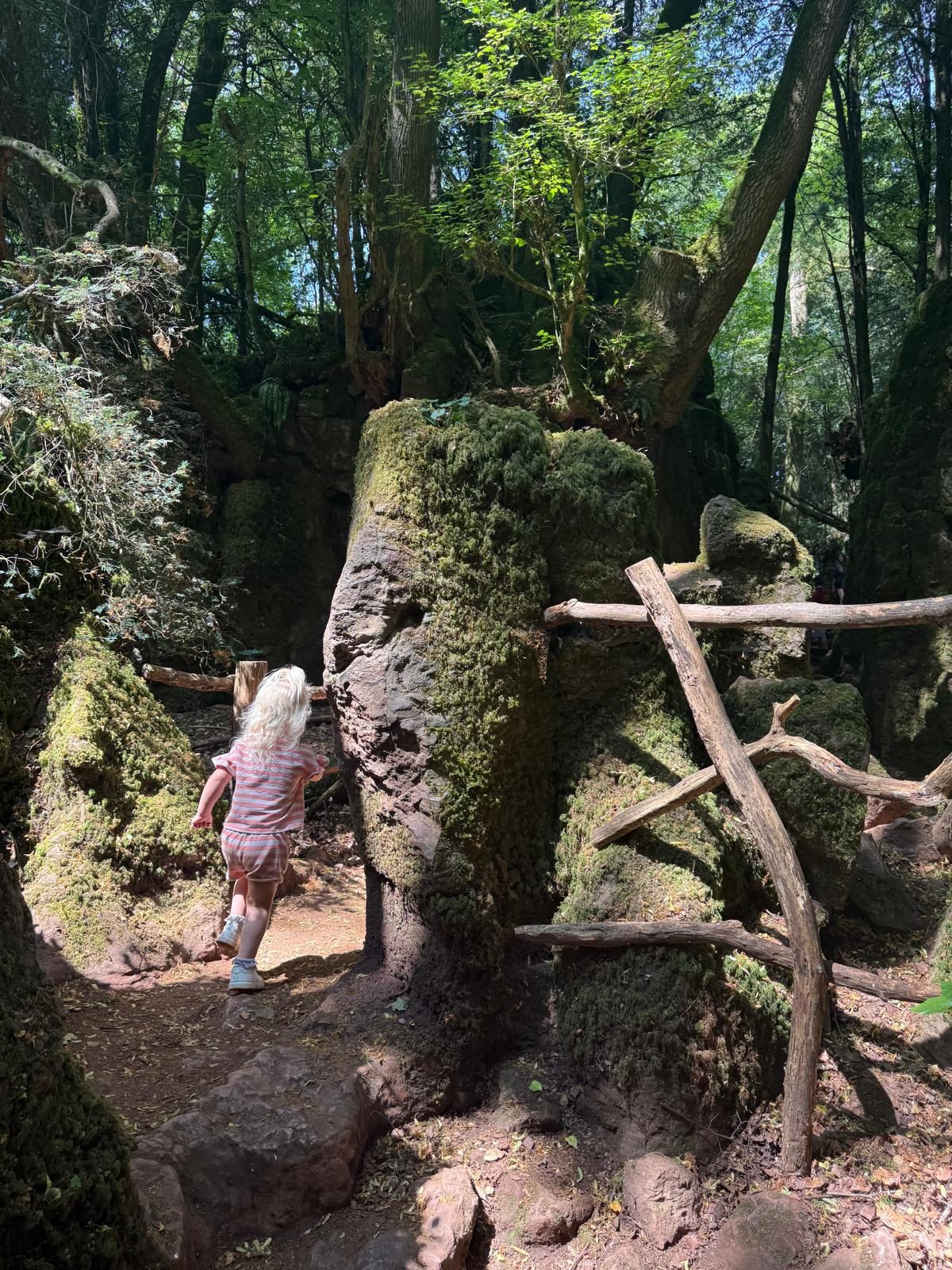 Puzzlewood — family day out in Forest of Dean, Gloucestershire