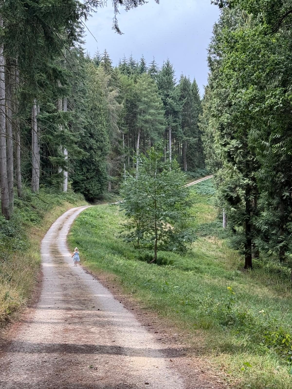 Ashton Under Hill Woods — family day out in Wychavon, Worcestershire